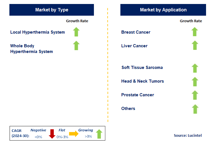 Hyperthermia Cancer Treatment by Segment